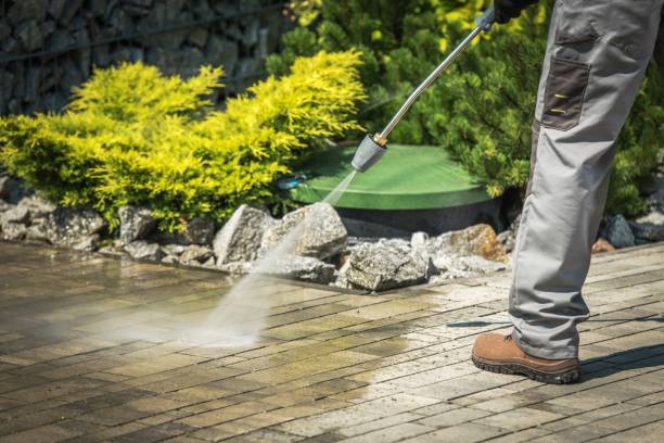 Animal Enclosure Cleaning in Pacific City, OR